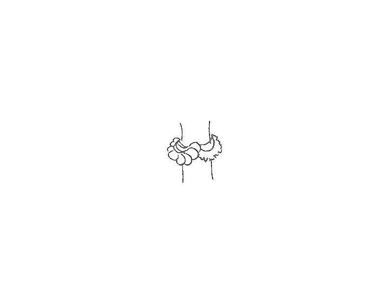 gelang-upper armlet